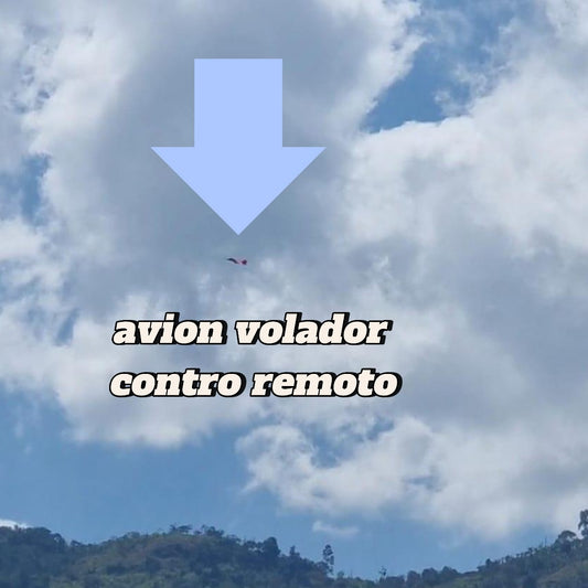 Avion Volador Planeador Control Remoto Recargable
